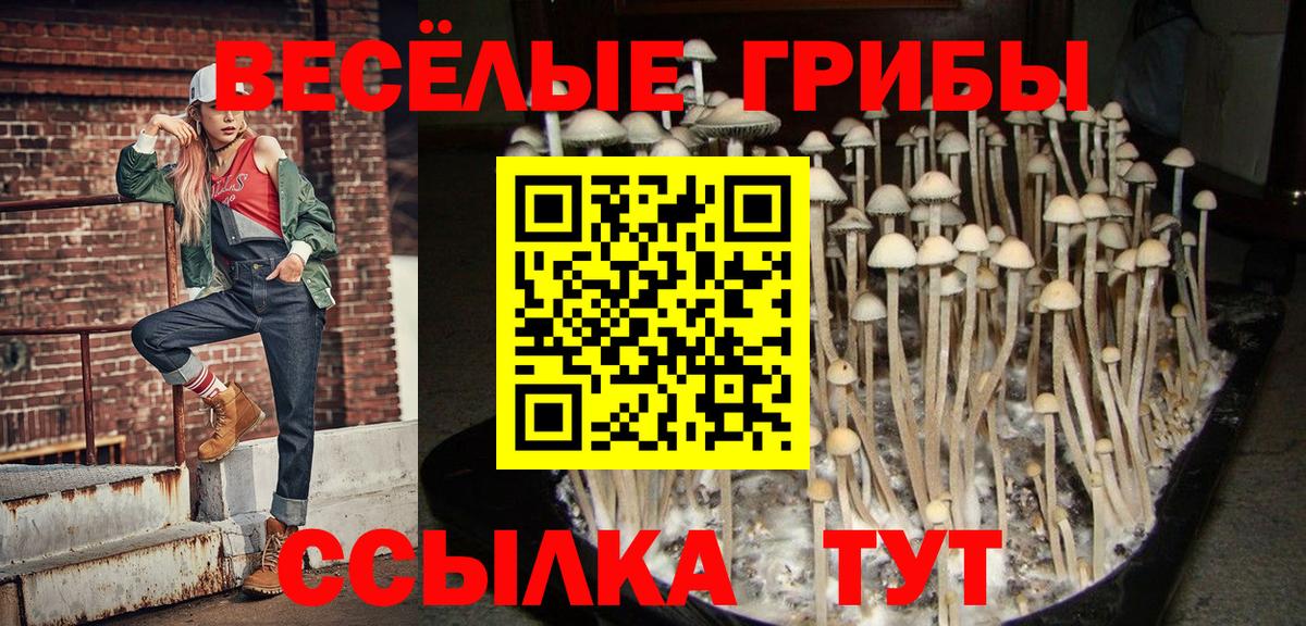 Галлюциногенные грибы прущие грибы Грязи