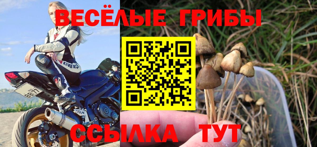 Грязи  Галлюциногенные грибы ЛСД  Вход с VPN 